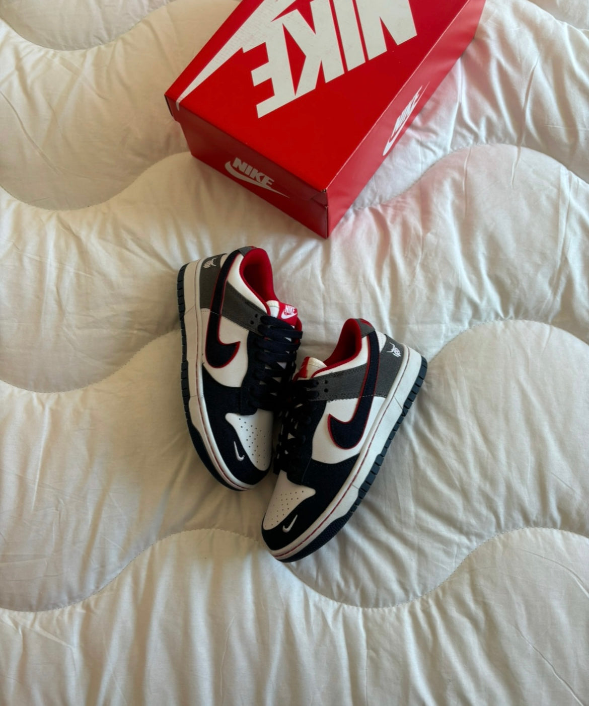 Nike Dunk Venom