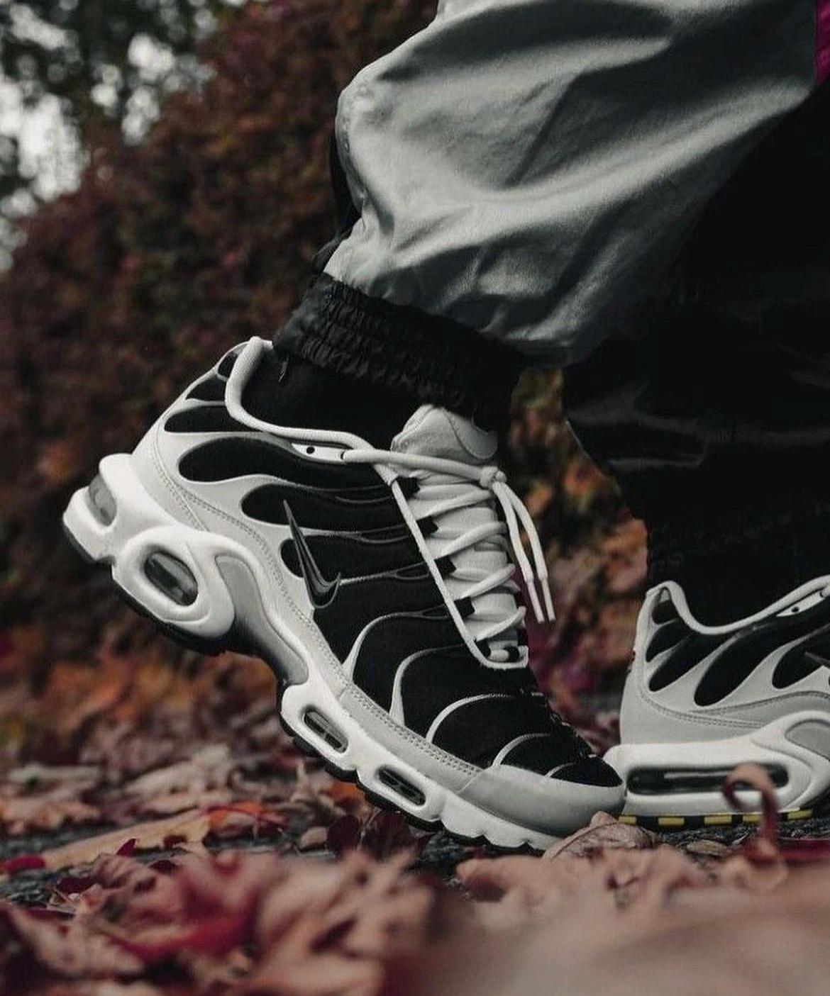 Nike Air Max Plus Killer Whale